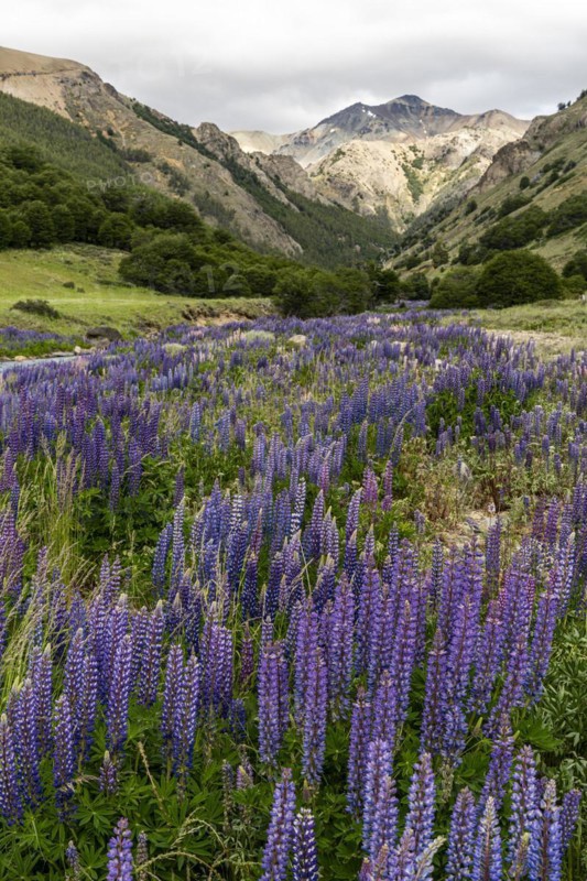 Mountain range along the Rio Blanco, Carretera Austral, Aysen, Chile, South America