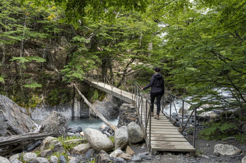 Young woman walking on bridge over meltwater stream, Base of Torres del Paine Hike, Torres de Paine, Magallanes and Chilean Antarctica, Chile, South America