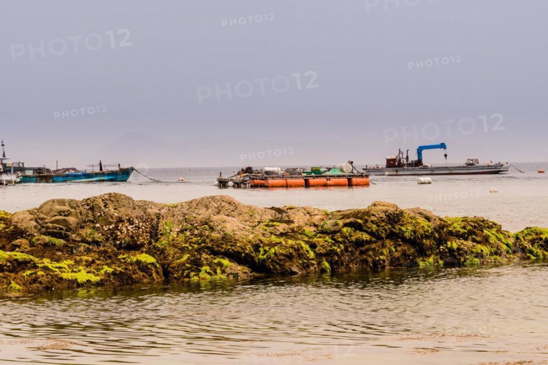 Seascape of large boulder covered with green algae with three fishing boats in the sea and a dull gray sky in the background in NamHae, South Korea, Asia