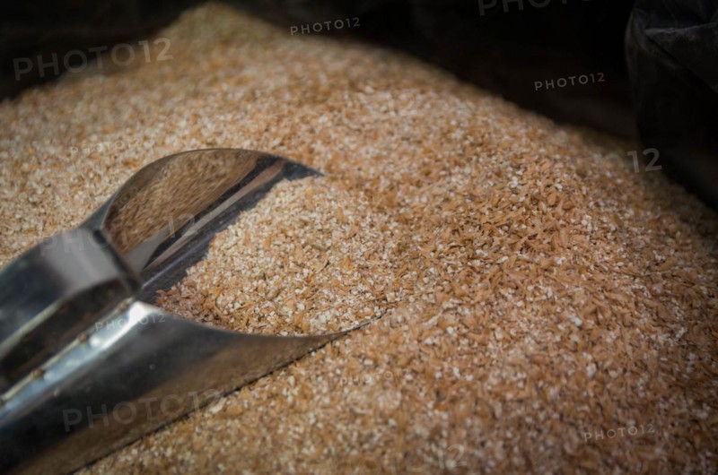Ladle with of barley malt for beer, pale ale, pilsen