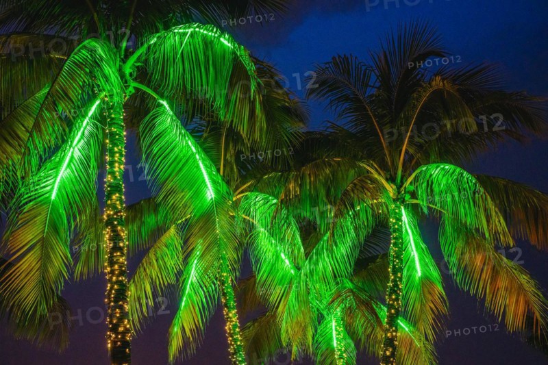 Neon lights, Ocean Drive, Miami Beach, Florida, USA, North America