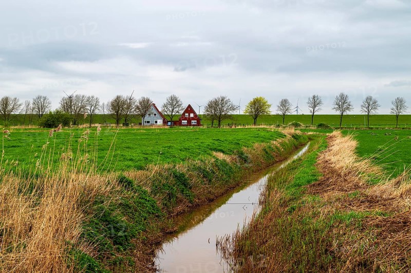 Drainage ditch and two lonely houses between Ditzum and Pogum, view in north direction, behind Ems dike, municipality Jemgum, district Leer, Rheiderland, East Frisia, Lower Saxony, Germany, Europe