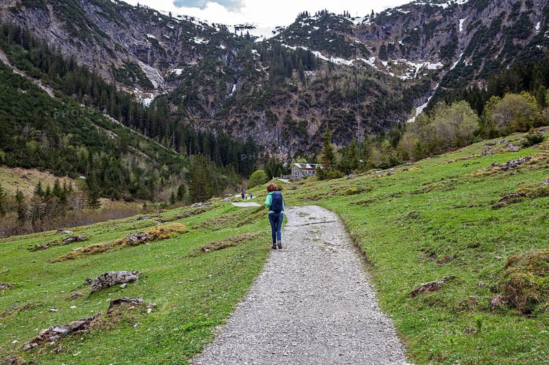 Hiking trail through green meadows, behind Hintere Gemstel-Huette, Gemsteltal, Mittelberg, Kleinwalsertal, Vorarlberg, Allgaeu Alps, Austria, Europe