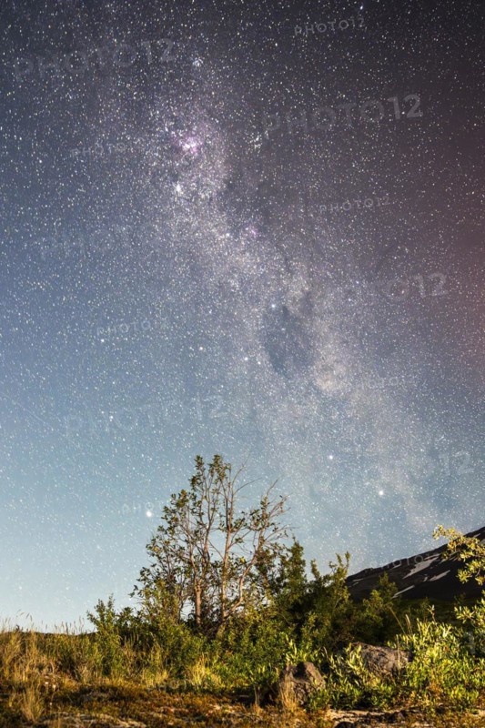 Starry sky, Villarrica Volcano, Villarrica National Park, Araucania, Chile, South America