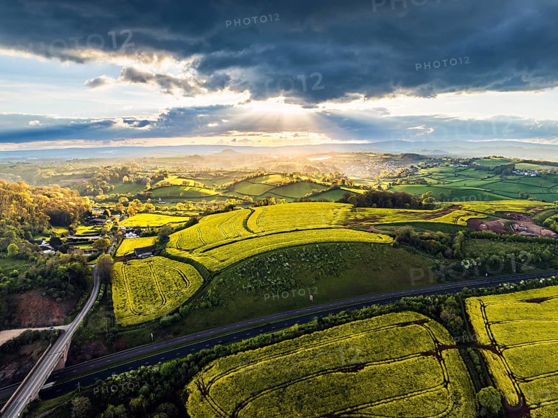 Sunset of Rapeseed fields and Farms from a drone, Torquay, Devon, England, United Kingdom, Europe