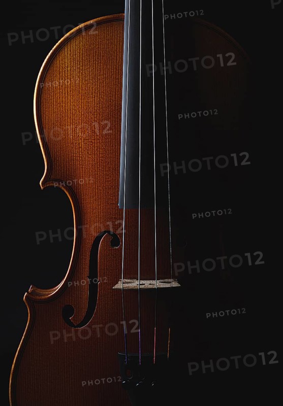 A violin shimmering in the subdued light, the details emphasise the elegance of the instrument