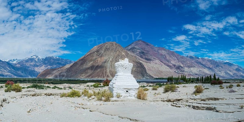 Tschoerten near Hunder, Nubra Valley, Ladakh, Jammu and Kashmir, Indian Himalayas, North India, India, Asia