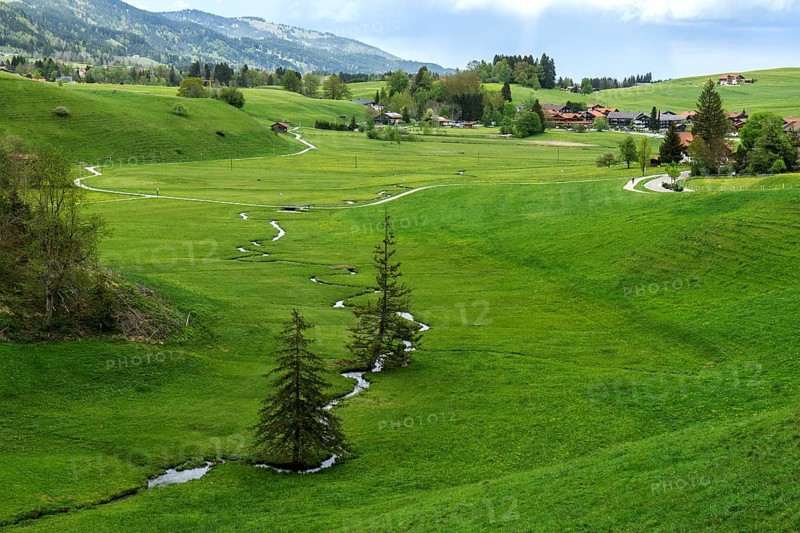 View of small stream and meadows, near Am Goldbach, Obermaiselstein, Oberallgaeu, Allgaeu, Bavaria, Germany, Europe