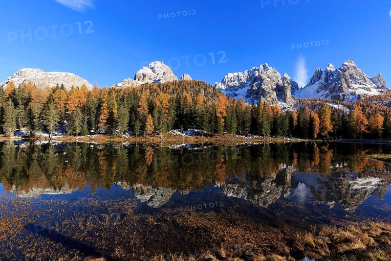 The colourful scenery of an autumnal forest next to a mirror-smooth lake in the sunlight, Italy, South Tyrol, Belluno, Dolomites, Lago d'Antorno against Cadini, Misurina, Sesto Dolomites, Veneto, Europe