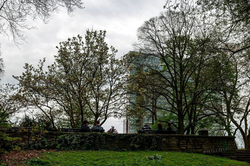 View from the Hofgarten to the Dreischeibenhaus, Duesseldorf, North Rhine-Westphalia, Germany, Europe