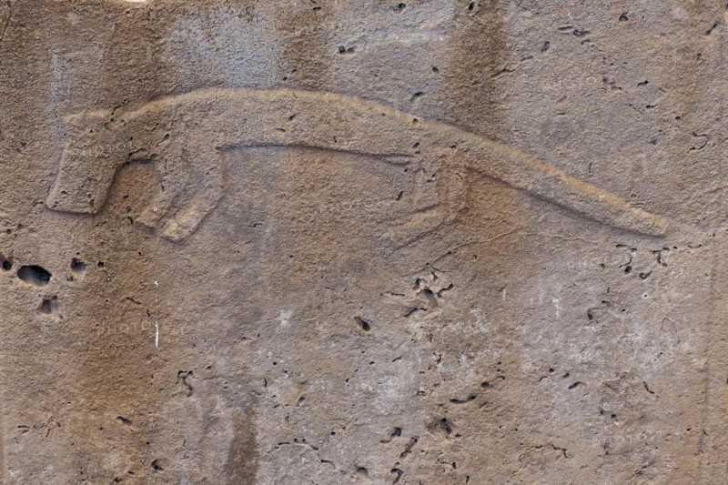 Gobekli Tepe neolithic archaeological site dating from 10 millennium BC, Massive stone pillars with sculptural relief of wild animals, Potbelly Hill, Sanliurfa, Turkey, Asia