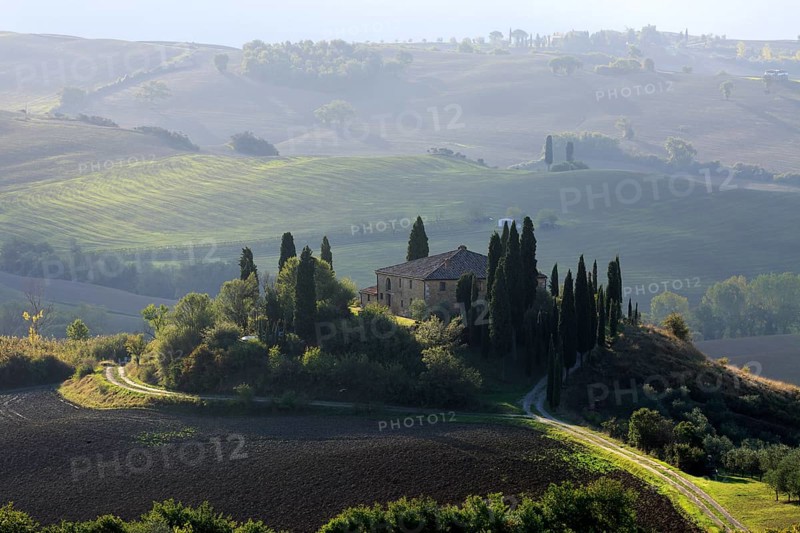 A lonely house surrounded by Cypress trees on a hill in Tuscany in the morning light, Italy, Tuscany, Podere Belvedere, Val d'Orcia, Pienza, Siena Province, Europe