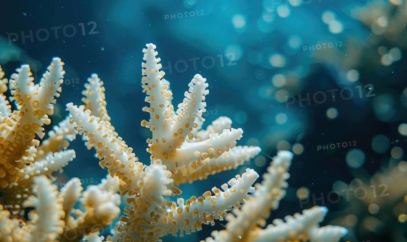 Coral bleaching due to pollution and rising sea temperatures AI generated