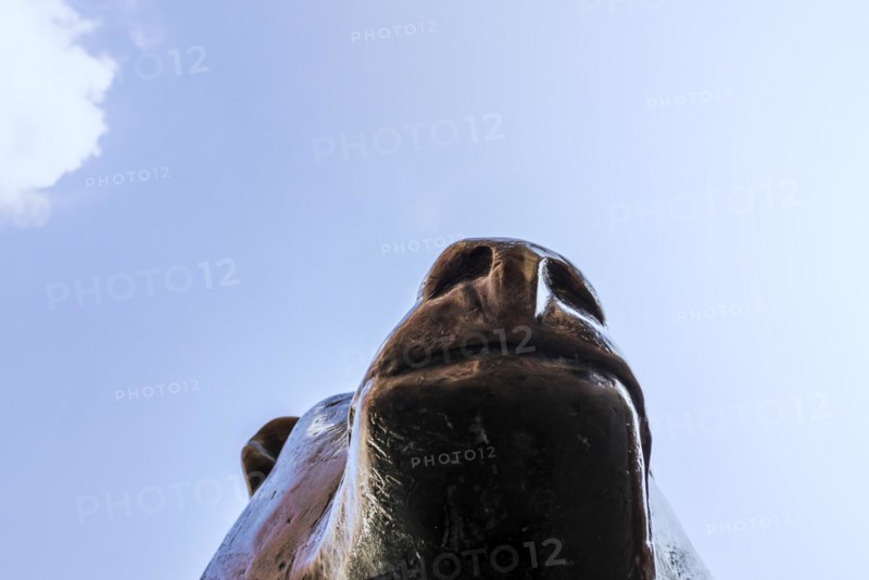 Bear statue, bronze sculpture on Boersenplatz, Frankfurt, Hesse