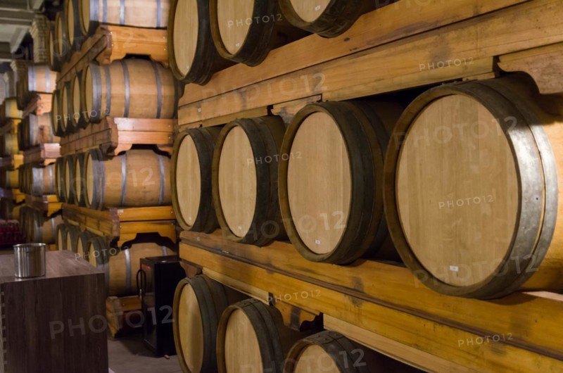 Oak barrels for wine aging in an underground cellar in Vale dos Vinhedos