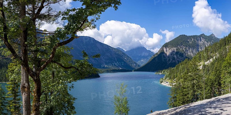 Plansee and Ammergau Alps, behind it the Thaneller, 2143m, Lechtal Alps, Tyrol, Austria, Europe