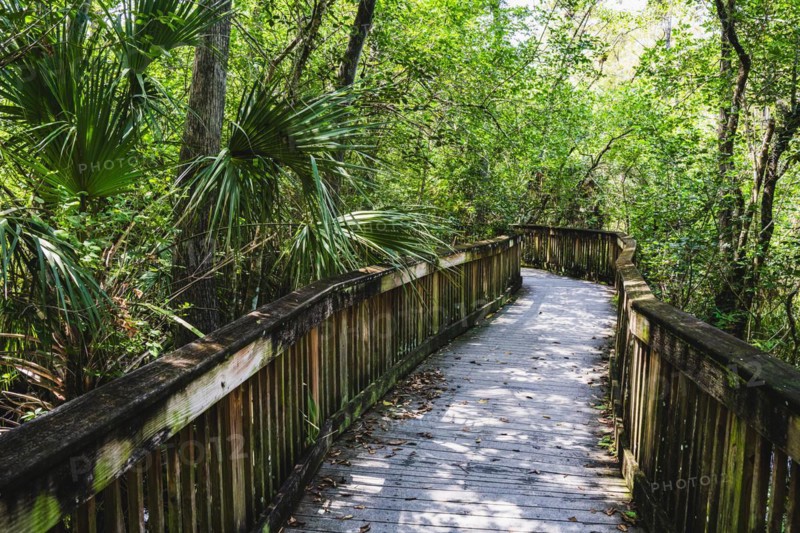 Kirby Storter Roadside Park, Tamiami Trail East, Ochopee, Everglades, Florida, USA, North America