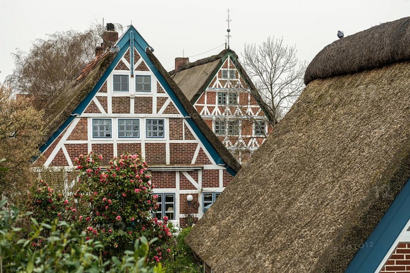 Half-timbered houses with thatched roofs, Steinkirchen, near Jork, Altes Land, Lower Saxony, Germany, Europe
