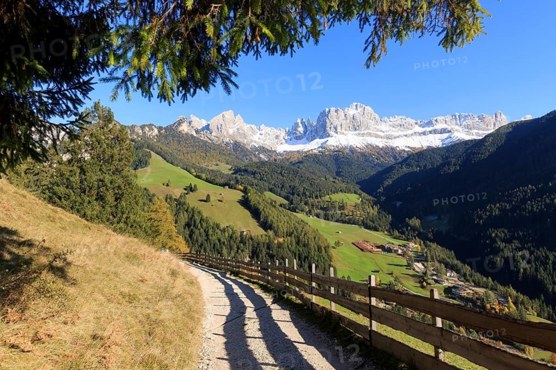Cosy hiking trail along a fence with a view of the mountains on a clear day, Italy, Alto Adige, Bolzano province, Dolomites, rose garden, Europe