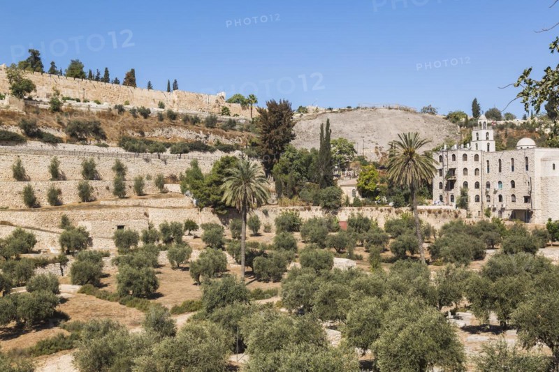 Cemetery with olive trees and fortified stone wall of the Old City of Jerusalem, Israel, Asia