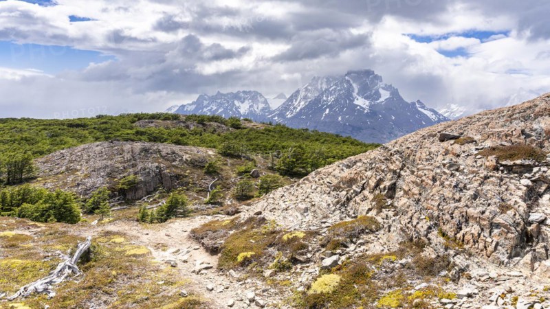 View on Paine Grande Mountain, Hike to Ferrier lookout, Torres de Paine, Magallanes and Chilean Antarctica, Chile, South America