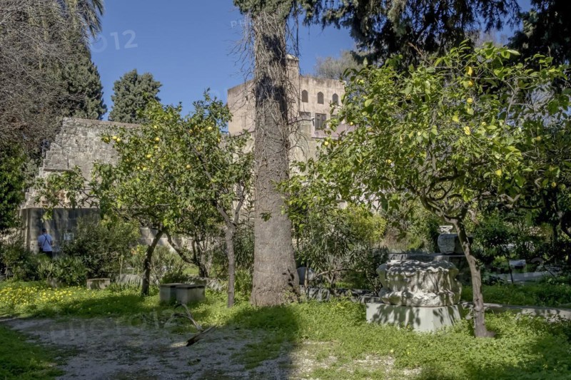 Garden of the Archaeological Museum, former hospital of the Order of St John, 15th century, Old Town, Rhodes Town, Greece, Europe