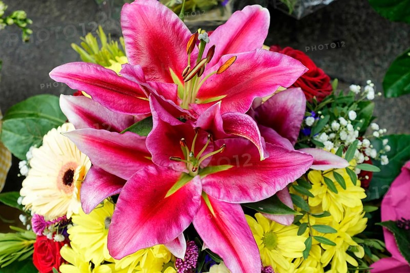 Lively bouquet with a large pink Lily (Lilium candidum) in focus, flower sale, Central Station, Hamburg, Hanseatic City of Hamburg, Germany, Europe