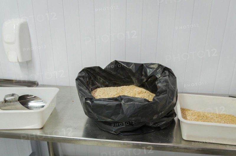 Barley malt for beer, pale ale, pilsen