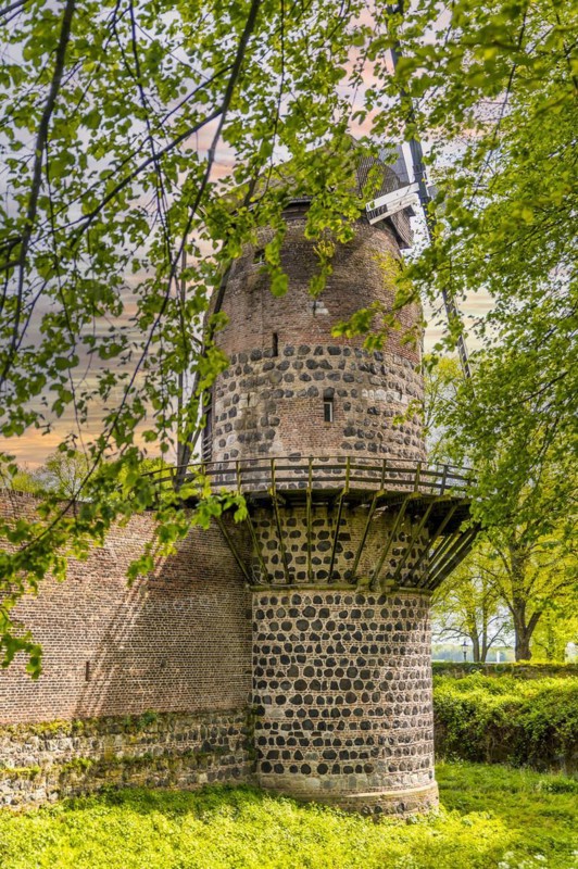 Historic windmill, part of an old city wall, behind trees in the sunshine, historic fortress Zons, North Rhine-Westphalia, Germany, Europe