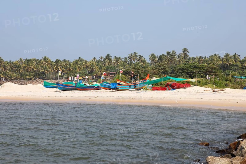 Colourful fishing boats on Marari Beach, Mararikulam, Alappuzha district, Kerala, India, Asia