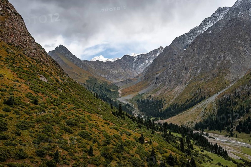 Green Mountain Valley, Chong Kyzyl Suu Valley, Terskey Ala Too, Tien-Shan Mountains, Kyrgyzstan, Asia
