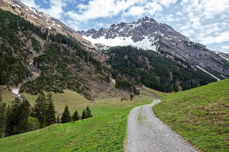 Hiking trail through green meadows, behind Geisshorn, Gemsteltal, Mittelberg, Kleinwalsertal, Vorarlberg, Allgaeu Alps, Austria, Europe