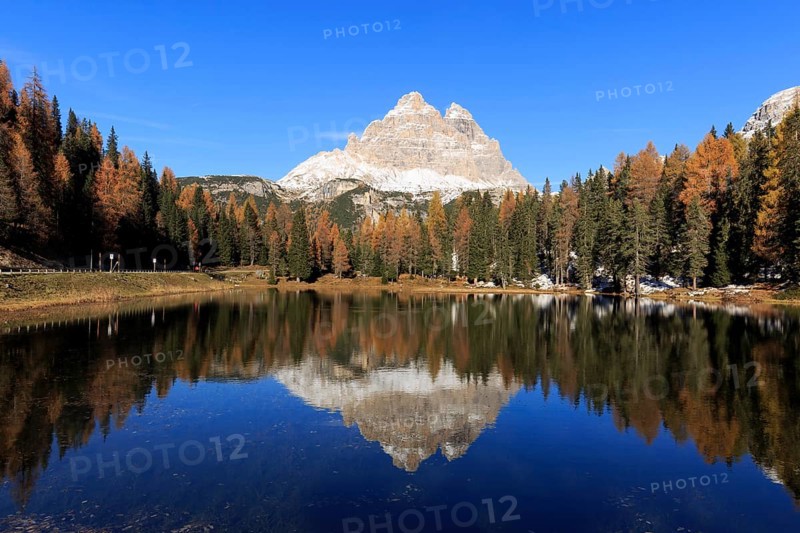 Calm water surface of a lake in the midst of autumnal forests reflects a mountain, Italy, South Tyrol, Belluno, Dolomites, Lago d'Antorno against Cadini, Misurina, Sesto Dolomites, Veneto, Europe