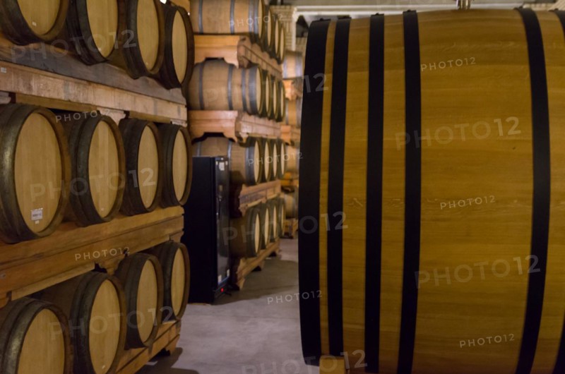 Oak barrels for wine aging in an underground cellar in Vale dos Vinhedos