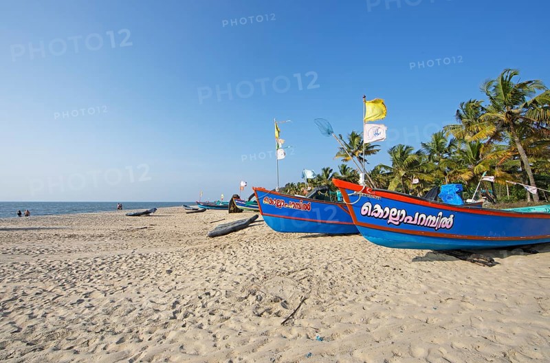 Colourful fishing boats on Marari Beach, Mararikulam, Alappuzha district, Kerala, India, Asia
