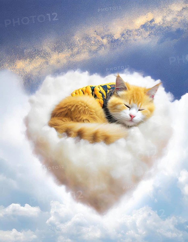 Adorable ginger cat sleeps peacefully on a fluffy cloud, set against a beautiful blue sky, AI generated