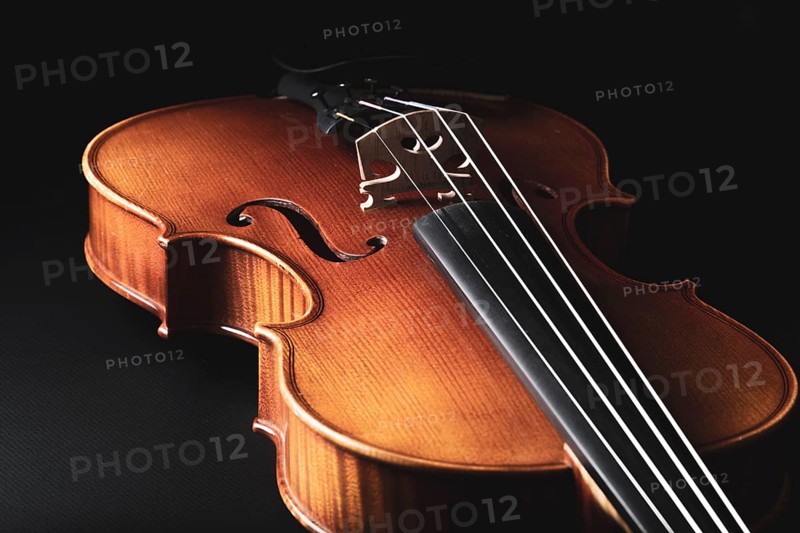 A violin lies in front of a dark background, illuminated to emphasise details and structure