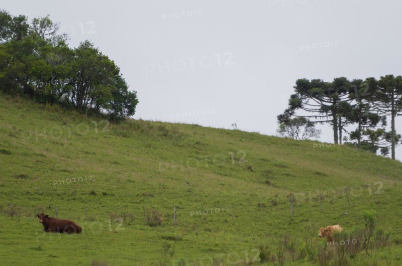 Landscape of the gaucho mountain range, Cambara do sul, Rio Grande do sul, Brazil, South America