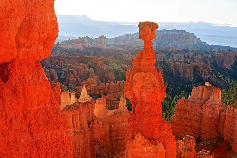 A striking hoodoo towers over a formation of rock towers, Thor's hammer, Bryce Canyon National Park, North America, USA, South-West, Utah, North America