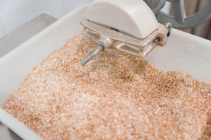Traditional homebrewing malt grinder, grinding pilsen malt
