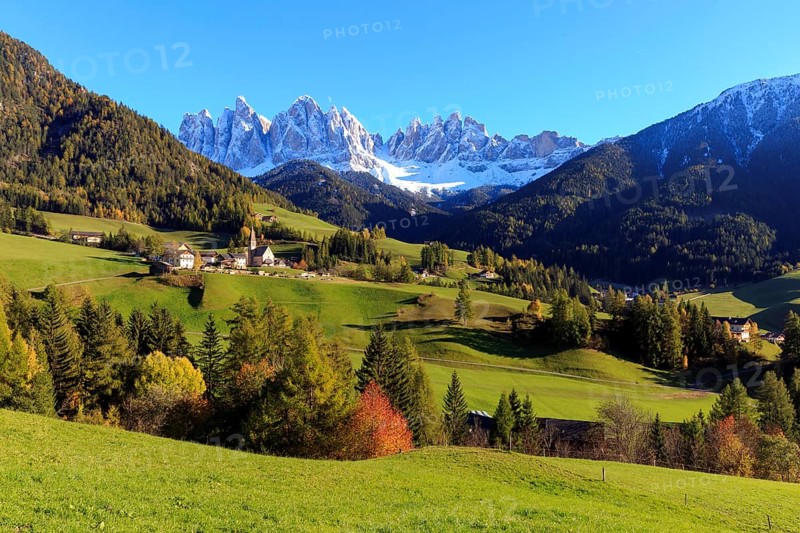 Autumn forests with green meadows and snow-capped Dolomites in the background, Italy, Trentino-Alto Adige, Alto Adige, Bolzano province, Dolomites, Santa Magdalena, St. Maddalena, Funes Valley, Odle, Puez-Geisler Nature Park in autumn, Europe