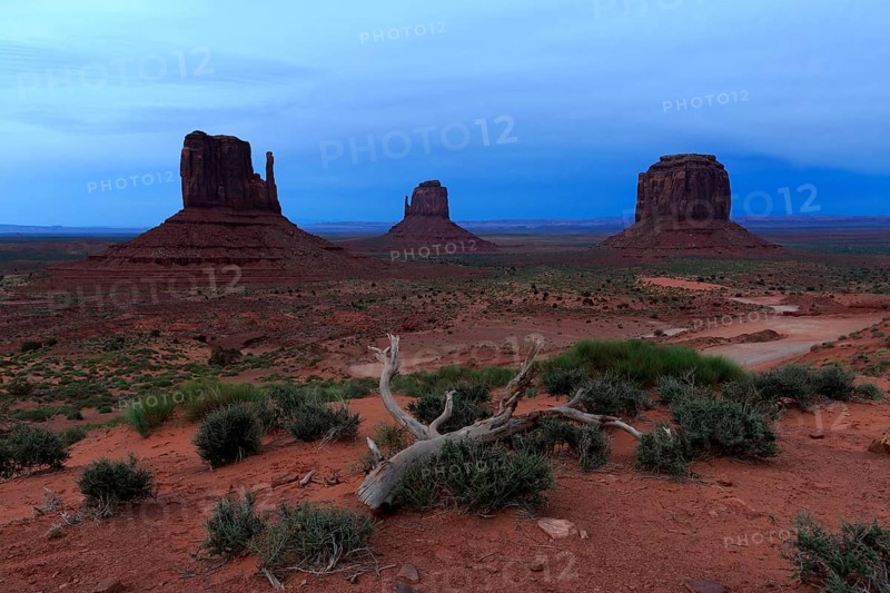 The rock formations of the desert rise majestically in the blue hour under a wide sky, Monument Valley, West Mitten Lefteye flounder, East Mitten Lefteye flounder, Merrick Lefteye flounder, North America, USA, South-West, Utah, North America