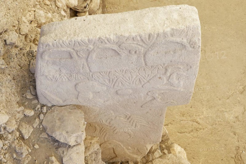 Gobekli Tepe neolithic archaeological site dating from 10 millennium BC, Massive stone pillars with sculptural relief of wild animals, Potbelly Hill, Sanliurfa, Turkey, Asia