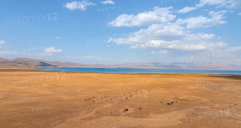 Herd of horses, Aerial view, Vast empty landscape at the mountain lake Song Kul in autumn, Moldo Too Mountains, Naryn region, Kyrgyzstan, Asia
