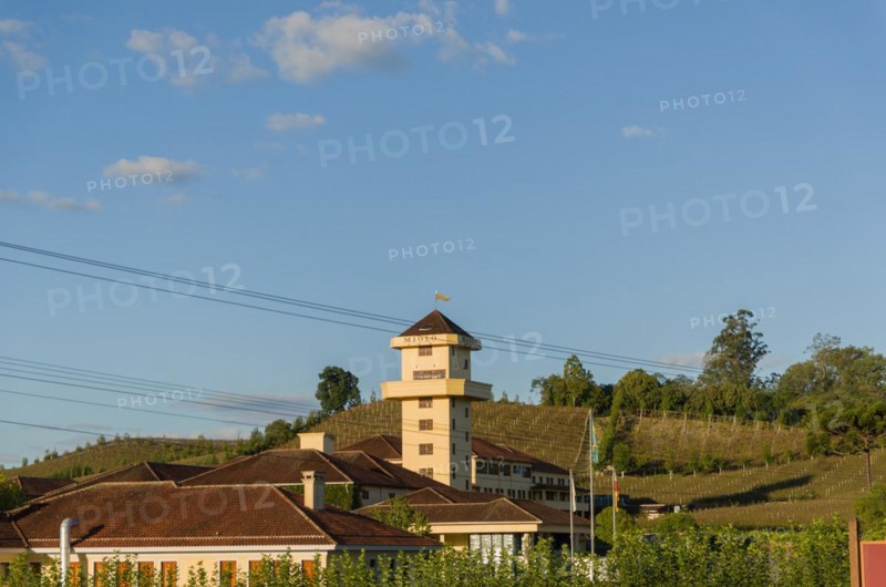 Bento Golcalves, Brasil, April 07, 2017: Luxury Winery, Vineyard of grapes in the Vale dos Vinhedos in Bento Goncalves, a gaucho wine