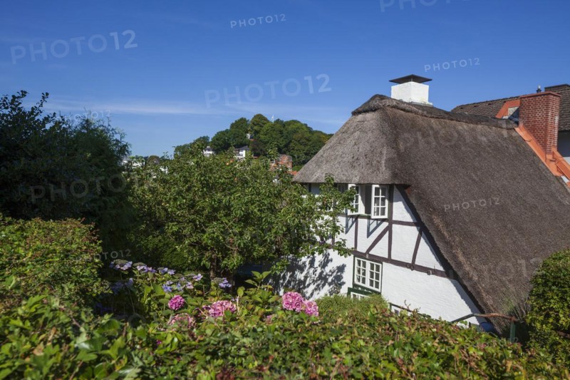 Old thatched half-timbered house in the Treppenviertel, residential building, Blankenese district, Hamburg, Germany, Europe