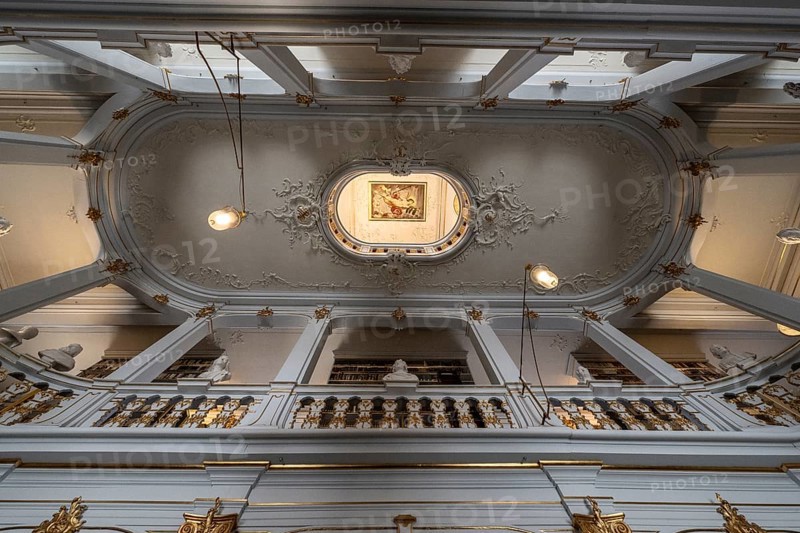 Anna Amalia Library, ceiling painting, Weimar, Thuringia, Germany, Europe