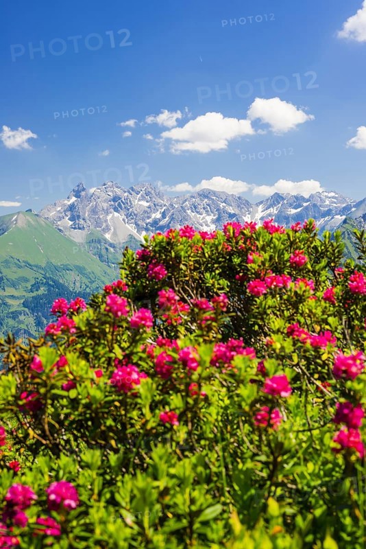 Panorama from Fellhorn, central main ridge of the Allgaeu Alps, Allgaeu, Bavaria, Germany, Europe