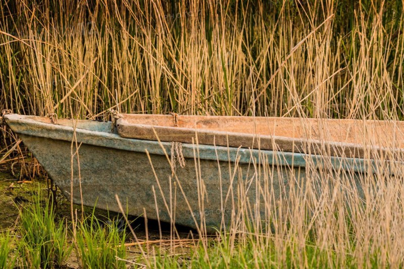Front of an abandoned fishing boat sitting in tall reeds in NamHae, South Korea, Asia