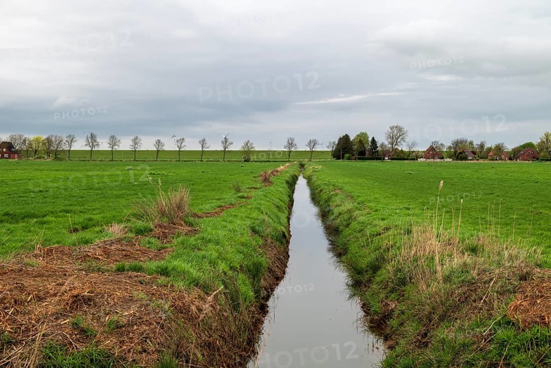 Drainage ditch between Ditzum and Pogum, view to the north, Ems dyke in the background, municipality of Jemgum, district of Leer, Rheiderland, East Frisia, Lower Saxony, Germany, Europe